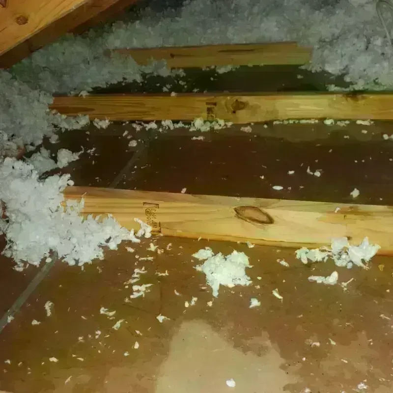 Attic Water Damage in Dryden, VA